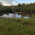 Ganaderos, Empresas lácteas, Empresarios, Inversionistas te gustaría comprar espectacular finca lechera Ubicada en la vereda Quiche municipio de Chiquinquirá ? A 20 minutos del pueblo, carretera hasta la finca, a 2.5 horas a Bogotá, 13 fanegadas, todas tractorables, acueducto veredal, nacimiento de agua, colinda con la quebrada de la vereda, casa de 200mtr, de 3 habitaciones con su closet, 3 baños, terraza, patio, cocina integral, sala comedor, con corredores, luz, internet, ruta de bus cada hora, ideal para agricultura o ganado de leche, existen tres empresas que hacen la ruta para recoger leche. Tenemos lo que estas necesitando para tu Inversión y la de tu familia Contáctanos estamos para servirles. Dios les Bendiga infinitamente a usted y a todas nuestras familias AÑO DE LA FRUCTIFICACION. Jeremías 29:11 Reina-Valera 1960 11 Porque yo sé los pensamientos que tengo acerca de vosotros, dice Jehová, pensamientos de paz, y no de mal, para daros el fin que esperáis.
